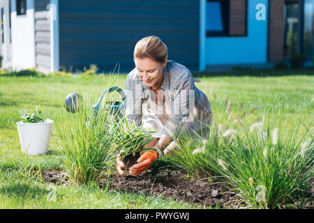 Beautiful housewife holding rootstock in her hands while bedding new plants Stock Photo