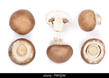 Fresh champignon mushrooms isolated on white background. Top view. Flat lay. Set or collection. Stock Photo