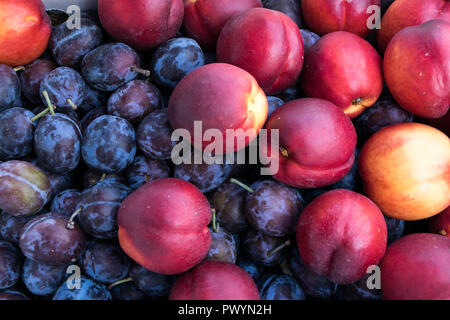 plums and nectarines at the market Stock Photo