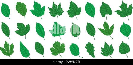 Decorative leaves, set. Summer concept. Cartoon vector illustration Stock Vector