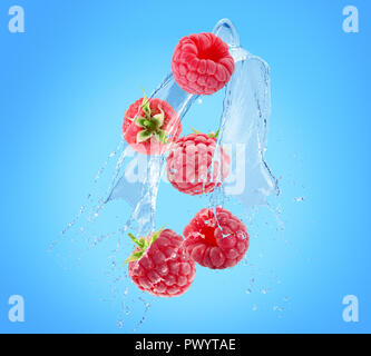 raspberries in water splash on a blue background. Stock Photo