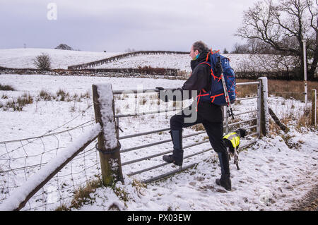 Series of photographs of  snowy hillwalk in the Kilpatrick hills with dogs. Stock Photo