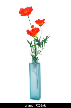 Red poppies in blue glass vase isolated on white background. Stock Photo