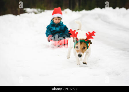 Funny dog with Rudolph reindeer's antlers pulls sled with Santa Claus Stock Photo