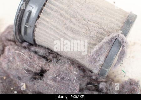 Common household dust on HEPA (High efficiency particulate air) filter from the vacuum cleaner.  macro view, isolated on a white background Stock Photo