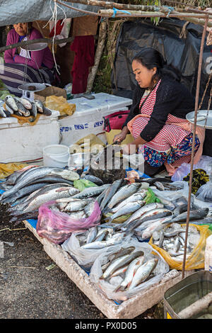 Woman cutting up fish on market stall, Mawsynram, Meghalaya, India Stock Photo