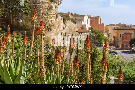 Cagliari cityscape, skyline of Cagliari, Sardinia island, Italy viewed from panoramic lookout point in the castle district. Stock Photo