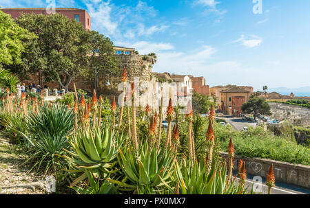 Cagliari cityscape, skyline of Cagliari, Sardinia island, Italy viewed from panoramic lookout point in the castle district. Stock Photo