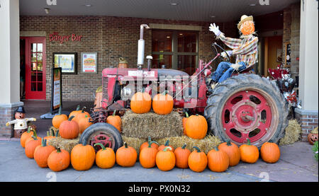 Halloween and autumn with pumpkins, tractor and scarecrow celebrations in front of store, Rochester, New York, USA Stock Photo