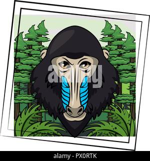Mandrill face cool sketch Stock Vector