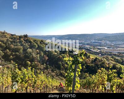 vineyards in the Stuttgart area Stock Photo