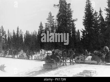 Transport of goods 1908. Drivers and horses on a road between Lit and Häggenås in Jämtland Sweden. They transport timber, goods and other merchandise that they have sold and bought. Sweden 1908 Stock Photo