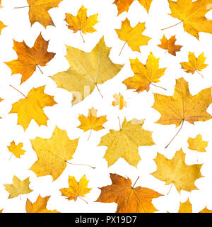 Seamless pattern with dry autumn leaves. Background of maple orange pressed leaves. Stock Photo