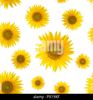 Seamless pattern with big bright sunflowers on yellow background Stock Photo