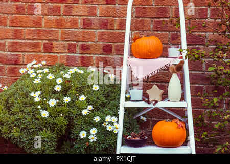 Cosy composition with natural decor of pumpkins, candles, fall leaves in vase, cones and nuts on the steps of rung ladder on red brick wall background Stock Photo