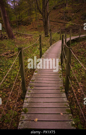 Winding Footbridge in the Woods Stock Photo