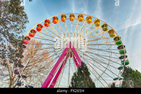 Ferris Wheel surrounded by trees inside an amusement park Stock Photo