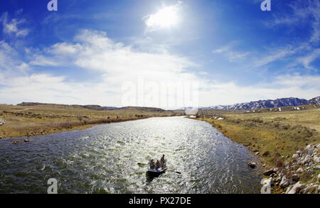 Fly fishing for trout on the North Platte River in Wyoming, USA Stock Photo