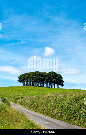 Cookworthy Knapp is a copse near the A30 road in Lifton Devon. Just a few miles from the Cornish border, it's well known to the Cornish returning home Stock Photo