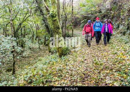 Group walking through Combe Park, Exmoor, England, UK Stock Photo
