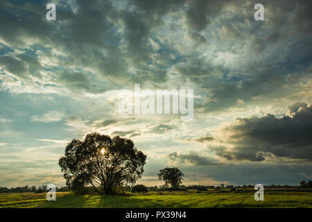 Dynamic clouds in the sky and setting sun behind the trees in the meadow Stock Photo