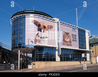 Battersea Dogs & Cats Home, London Stock Photo