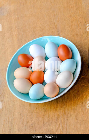 a bowl of multicolour chicken eggs Stock Photo