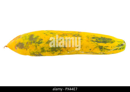 rotten papaya on white isolate background Stock Photo