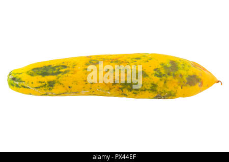 rotten papaya on white isolate background Stock Photo