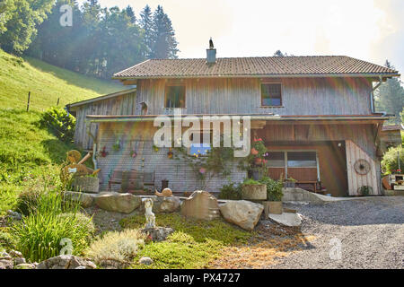 curious little dog on the roof of a woodhouse in the mountains Stock Photo