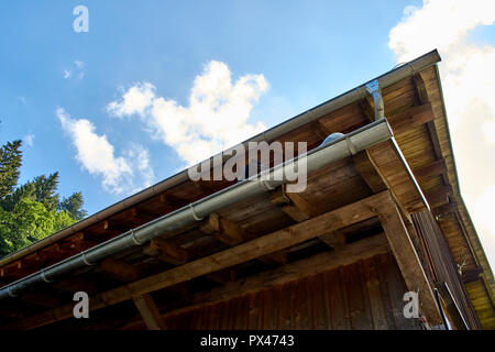 curious little dog on the roof of a woodhouse in the mountains Stock Photo