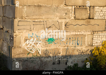 Garage wall lined from large concrete blocks. Caption: Dump, garbage dump. To store cars. Russia Stock Photo