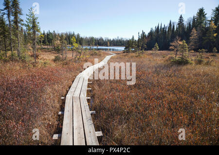 Wooden walkway leading across a bog to a small trout lake in northern Minnesota during autumn Stock Photo