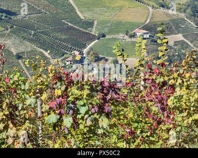 View of the Langhe landscape, a countryisde in Pedmont very popular because of the good wines and food Stock Photo