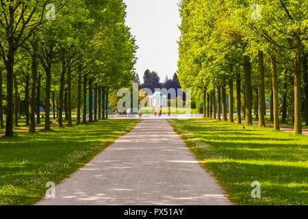 Nice view of a big tree avenue leading to the popular visitors spot near the large basin (Aueteich) comprising Swan Island (Schwaneninsel) with its... Stock Photo