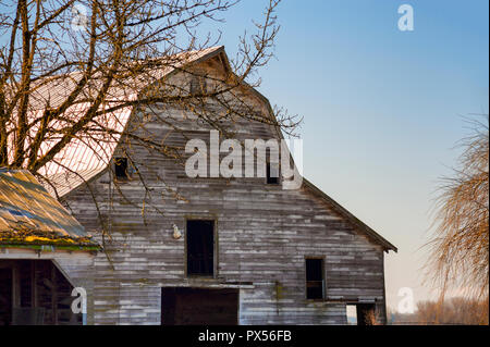 Close up of the top part of a barn with tree branches in rural Oregon.