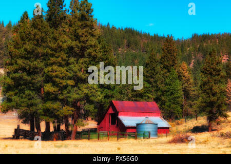 Pine Trees cover the hillside where a red barn, silo and corral nestle under a stand of trees at the edge of a field near Bly, Oregon Stock Photo
