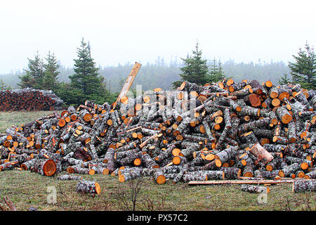 Newfoundland, Canada, roadside firewood pile.  Many people harvest wood to heat their homes and along the roadside are piles of chopped wood. Stock Photo