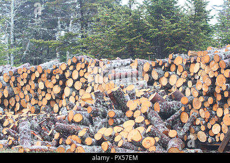 Newfoundland, Canada, roadside firewood pile.  Many people harvest wood to heat their homes and along the roadside are piles of chopped wood. Stock Photo