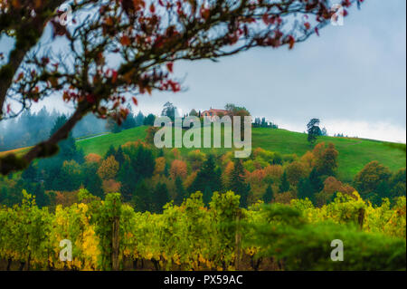 Dundee, Oregon, USA - November 2, 2014:  An autumn landscape of a vineyard in Oregon's Yamhill County. Stock Photo