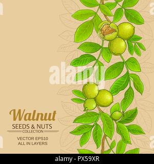 walnut vector pattern on color background Stock Vector