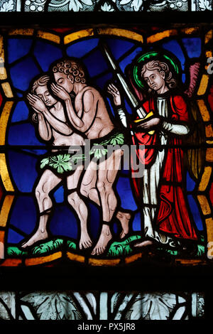 Stained glass window of Adam and Eve at the medieval cathedral of ...
