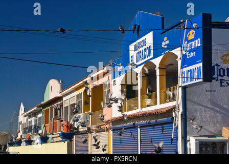 Shops shuttered in early morning at Mercado de Mariscos or Fish Market, Ensenada, Baja California, Mexico Stock Photo