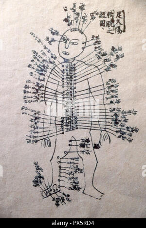 Museum of Traditional Vietnamese Medicine.  The channels and vessels. Book of acupuncture.  Ho Chi Minh City. Vietnam. Stock Photo