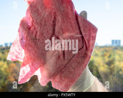 pink rag close up cleans window glass in sunny day Stock Photo