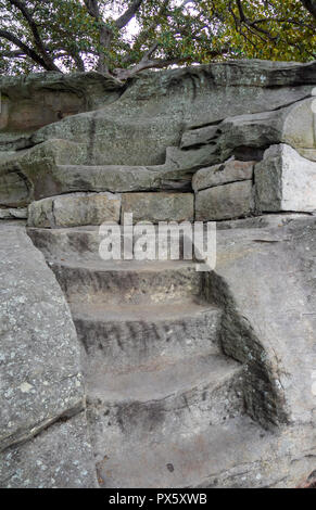 Mrs Macquaries Chair and steps carved into sandstone by convicts in the Royal Botanical Garden Sydney NSW Australia. Stock Photo