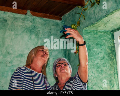 Two adult women smiling and making selfies with a smartphone in a rural house Stock Photo