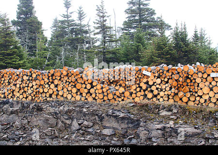 Newfoundland, Canada, roadside firewood pile.  Many people harvest wood to heat their homes and along the roadside are piles of chopped wood. Stock Photo