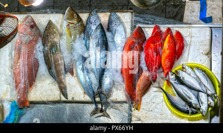 Colorful sea fish is sold at the market. This is a good nutritional protein for the human body Stock Photo