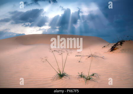 Sunset on the dunes hill with sun rays in the sky so mysterious and interesting to watch them Stock Photo